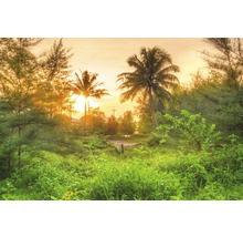 Papier peint panoramique intissé 22571 Amazing Jungle Sunrise 10 pces 500 x 280 cm