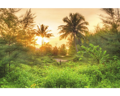 Papier peint panoramique intissé 18571 Amazing Jungle Sunrise 7 pces 350 x 260 cm