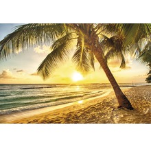 Sonnenuntergang am Strand mit Palmen
