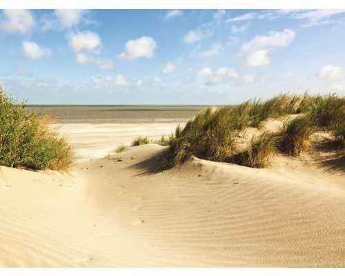 Fototapete Vlies 18614 Dunes Knokke-Heist 7-tlg. 350 x 260 cm