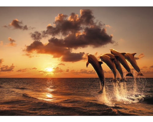 Papier peint panoramique intissé 18624 Sunset Jumping Dolphins 7 pces 350 x 260 cm