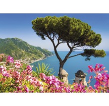 Landschaft mit Baum, Blumen und Meerblick