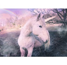 Fototapete Vlies 18654 Unicorn 7-tlg. 350 x 260 cm