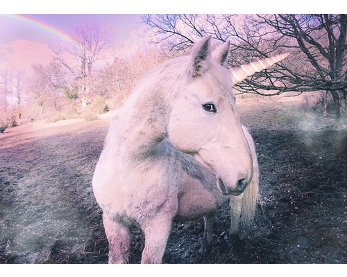 Papier peint panoramique intissé 18654 Unicorn 7 pces 350 x 260 cm Gros plan d''une licorne à l''extérieur avec un arc-en-ciel en arrière-plan.