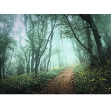 Weg durch einen nebligen Wald mit Bäumen und Vegetation