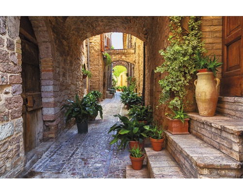 Fototapete Vlies 21688 Ancient City Spello Umbria 8-tlg. 400 x 260 cm