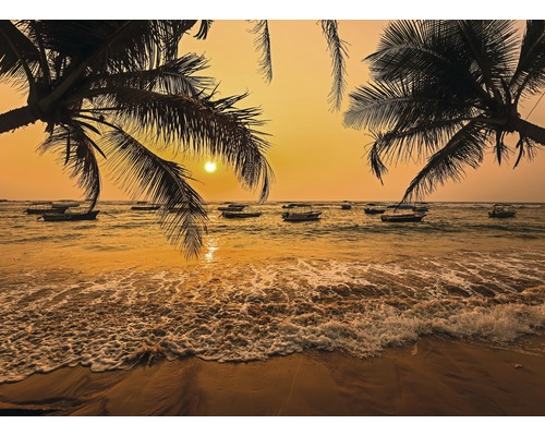 Papier peint panoramique intissé 18692 Sri Lanka Palm Beach 7 pces 350 x 260 cm