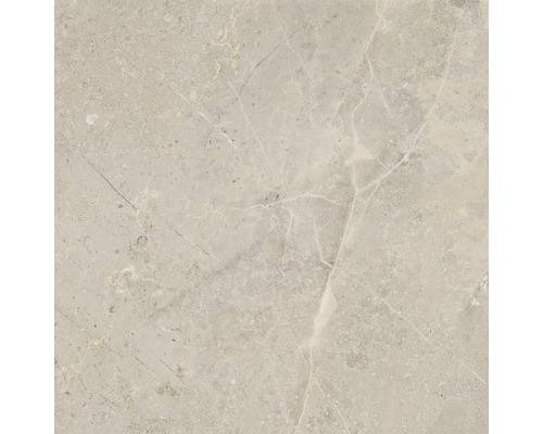 Carrelage sol et mur en grès cérame fin Macael Gold 120 x 120 x 0,9 cm poli  gris - HORNBACH Luxembourg