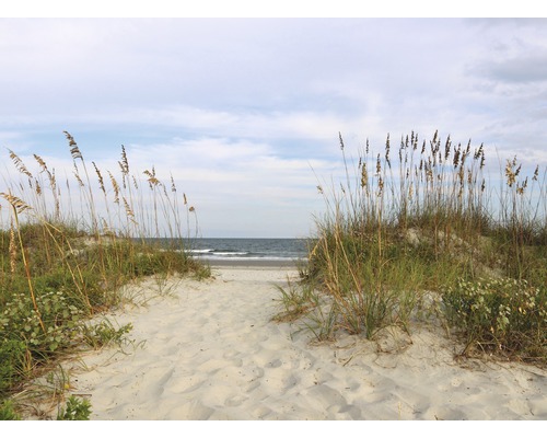 Fototapete Vlies 18720 Dunes Huntington Beach 7-tlg. 350 x 260 cm