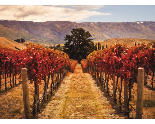 Papier peint panoramique intissé 18739 Autumn Vineyard 7 pces 350 x 260 cm