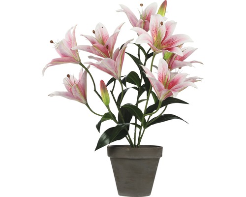 Plante artificielle lilium lancifolium Mica Decorations Ø 13,5 cm h 47 cm rose Lys roses décoratifs dans un pot gris pour l''intérieur