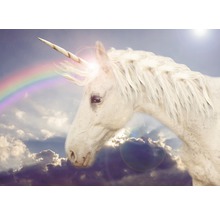 Nahaufnahme eines Einhorns vor einem bewölkten Himmel mit Regenbogen