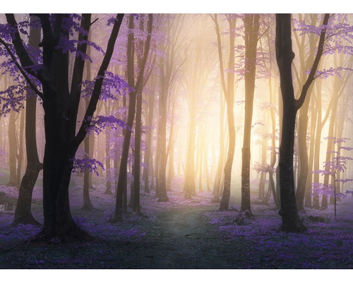 Papier peint panoramique intissé 18775 Mystic Fogga Forest 7 pces 350 x 260 cm