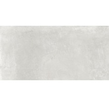 Feinsteinzeug Wand- und Bodenfliese Greenwich perla matt grau 60 x 120 cm