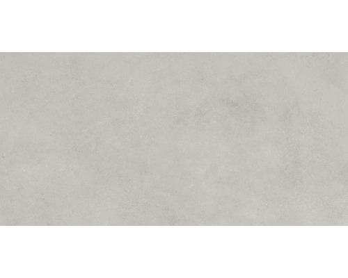 Carrelage pour mur et sol en grès cérame fin Structure gris mat 60 x 120 cm