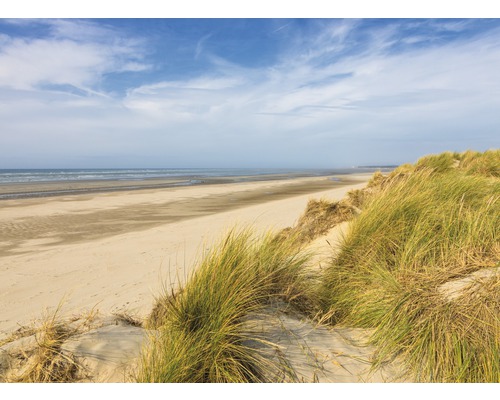 Fototapete Vlies 21788 Dunes Touquet-Paris Beach 8-tlg. 400 x 260 cm