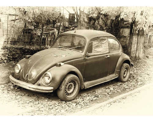 Fototapete Vlies 18821 Beetle Retro Car 7-tlg. 350 x 260 cm