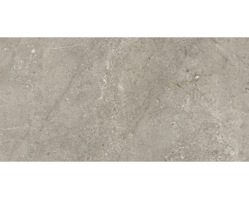 Carrelage sol et mur en grès cérame fin Anden 60 x 120 x 0,9 cm Natural poli gris