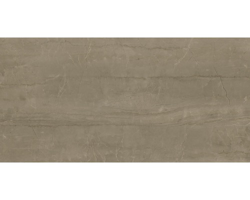 Carrelage sol et mur en grès cérame fin Living 60 x 120 x 0,9 cm Cinnamon poli marron