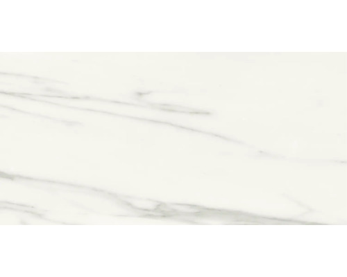 Carrelage sol et mur en grès cérame fin Macael 60 x 120 x 0,9 cm white poli gris