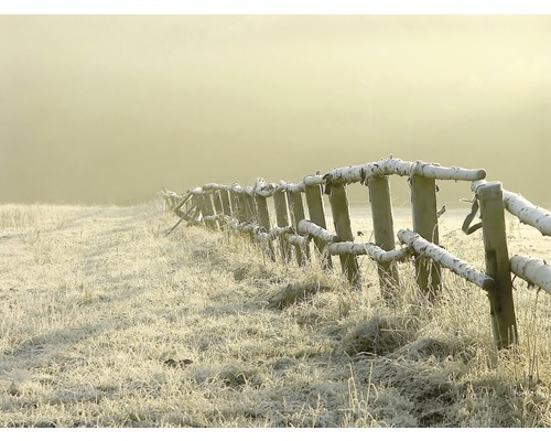 Papier peint panoramique intissé 18903 Fence in Misty Field 7 pces 350 x 260 cm