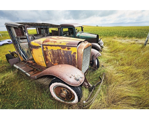 Papier peint panoramique intissé 21916 Vintage Cars 8 pces 400 x 260 cm