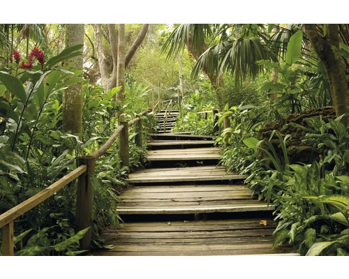 Fototapete Vlies 22924 Jungle Pathway 10-tlg. 500 x 280 cm