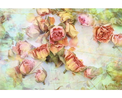 Papier peint panoramique intissé 18945 Vintage Roses 7 pces 350 x 260 cm Gros plan sur des boutons de roses séchées