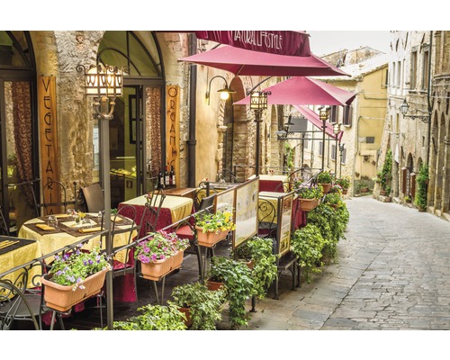 Papier peint panoramique intissé 18977 Vintage Cafe 7 pces 350 x 260 cm Extérieur d''un restaurant avec des tables, des chaises et des jardinières le long d''une rue pavée.