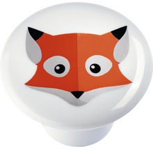 Möbelknopf mit Fuchs-Motiv