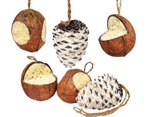 Mélange de nourriture pour oiseaux, noix de coco et pins géants, 6 pièces