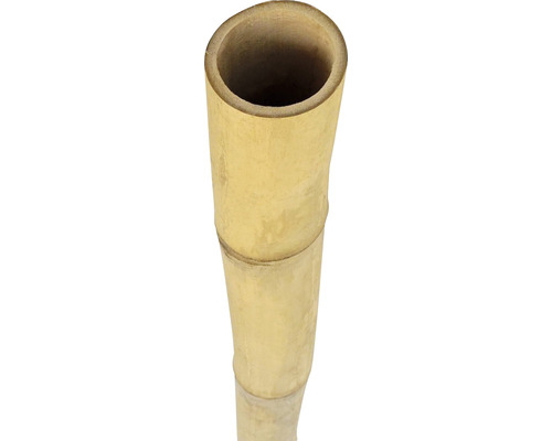 Bambusrohr Ø 4-5 cm Länge 200 cm