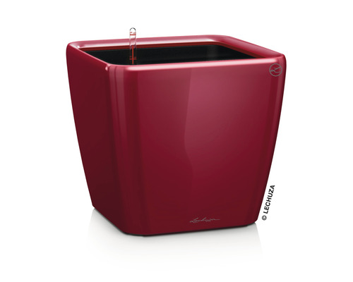 Pflanzkübel Lechuza Quadro LS 50 Komplettset H 47 cm rot Quadratischer Pflanzkübel mit Bewässerungssystem