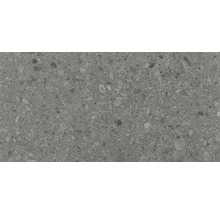 Carrelage sol et mur en grès cérame fin Terrazzo Donau gris 60 x 120 cm rectifié-thumb-0
