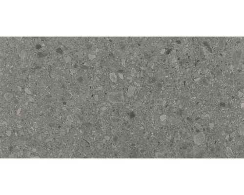 Feinsteinzeug Wand- und Bodenfliese Terrazzo Donau grau 60 x 120 cm rektifiziert