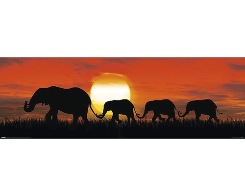 Panneau décoratif Sunset Elephant 30x90 cm
