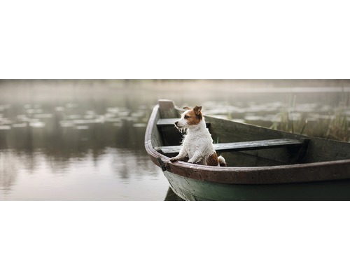 Panneau décoratif Dog in Boat 48x138 cm
