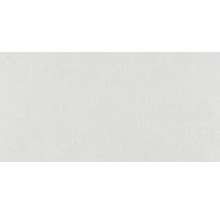 Carrelage pour mur et sol en grès cérame fin Alpen blanc 60x120 cm rectifié-thumb-0
