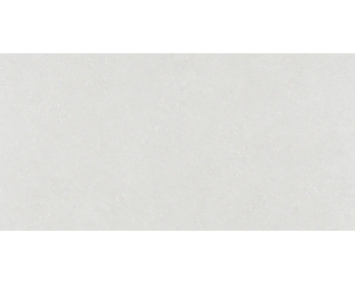 Carrelage pour mur et sol en grès cérame fin Alpen blanc 60x120 cm rectifié