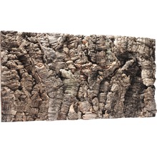 Panneau de liège pour la construction de terrariums