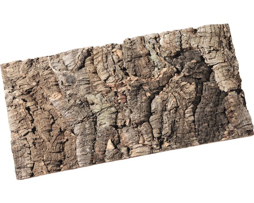 Plaque de liège avec structure naturelle d''écorce d''arbre