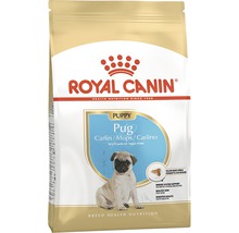 Royal Canin Welpenfutter für Mops