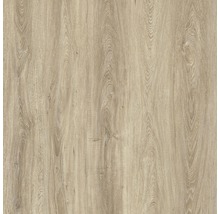 Kunststoffpaneel G x Wall+ Natural Oak 600 x 300 x 5 mm