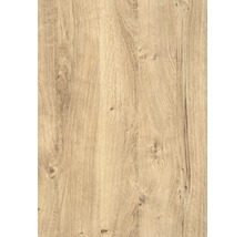 Film adhésif d-c-fix® décor bois Wood Ribbeck Oak 67,5x200 cm-thumb-0