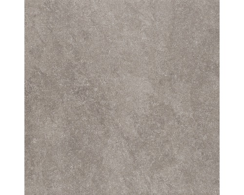 Wand- und Bodenfliese Udine Beige-Grau unglasiert 80 x 80 cm