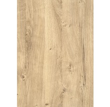 d-c-fix® Klebefolie Holzdekor Wood Ribbeck Oak 90x210 cm