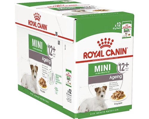 Royal Canin Mini Ageing 12 plus Hundefutter, 12 mal 85 Gramm Packung