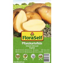 FloraSelf Pflanzkartoffeln, Sorte Sieglinde, Packung