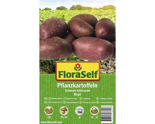 Pflanzkartoffeln FloraSelf Solanum tuberosum 'Birgit' 10 Stk.