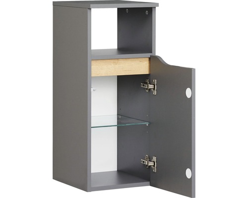 Armoire suspendue de salle de bain grise avec porte ouverte et étagères en verre